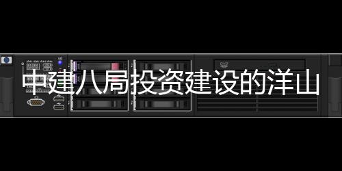 八局投资建设际保的洋中建暂名工目正山国税中式开心项