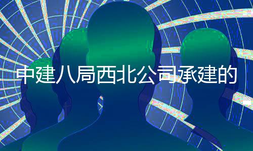 八局的泾中建公司河新育中目落承建城体成西北心项